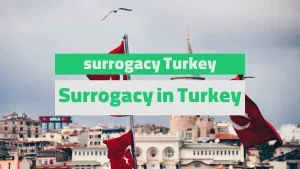 surrogacy Turkey