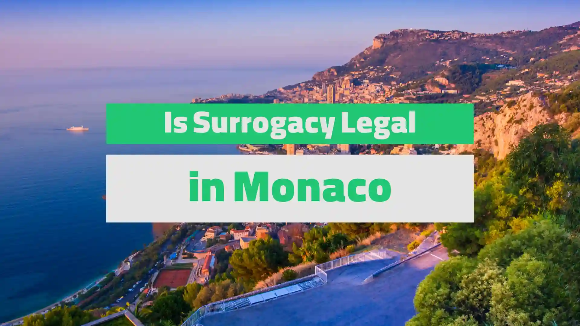 is surrogacy legal in monaco