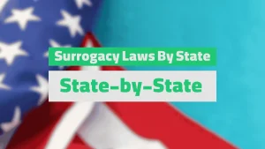 Surrogacy Laws By State