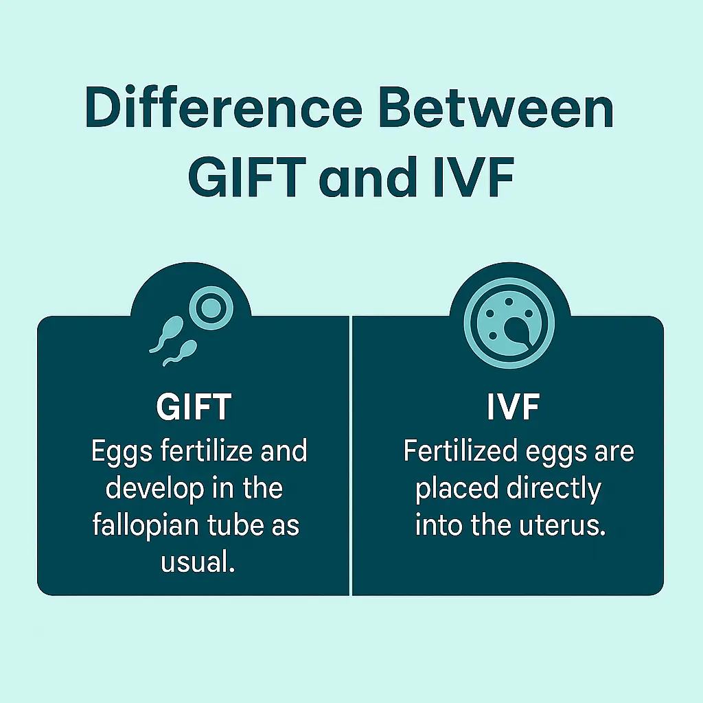 difference between gift and ivf