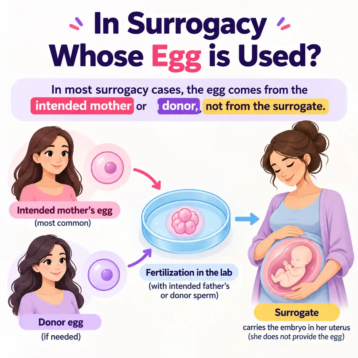 in surrogacy whose egg is used