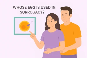 whose egg is used in surrogacy