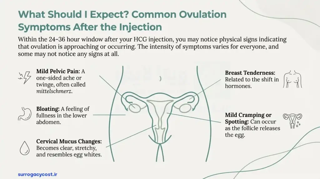 Common Ovulation Symptoms After hcG Injection
